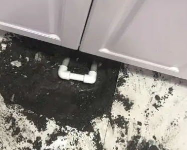 单县查漏水哪家好